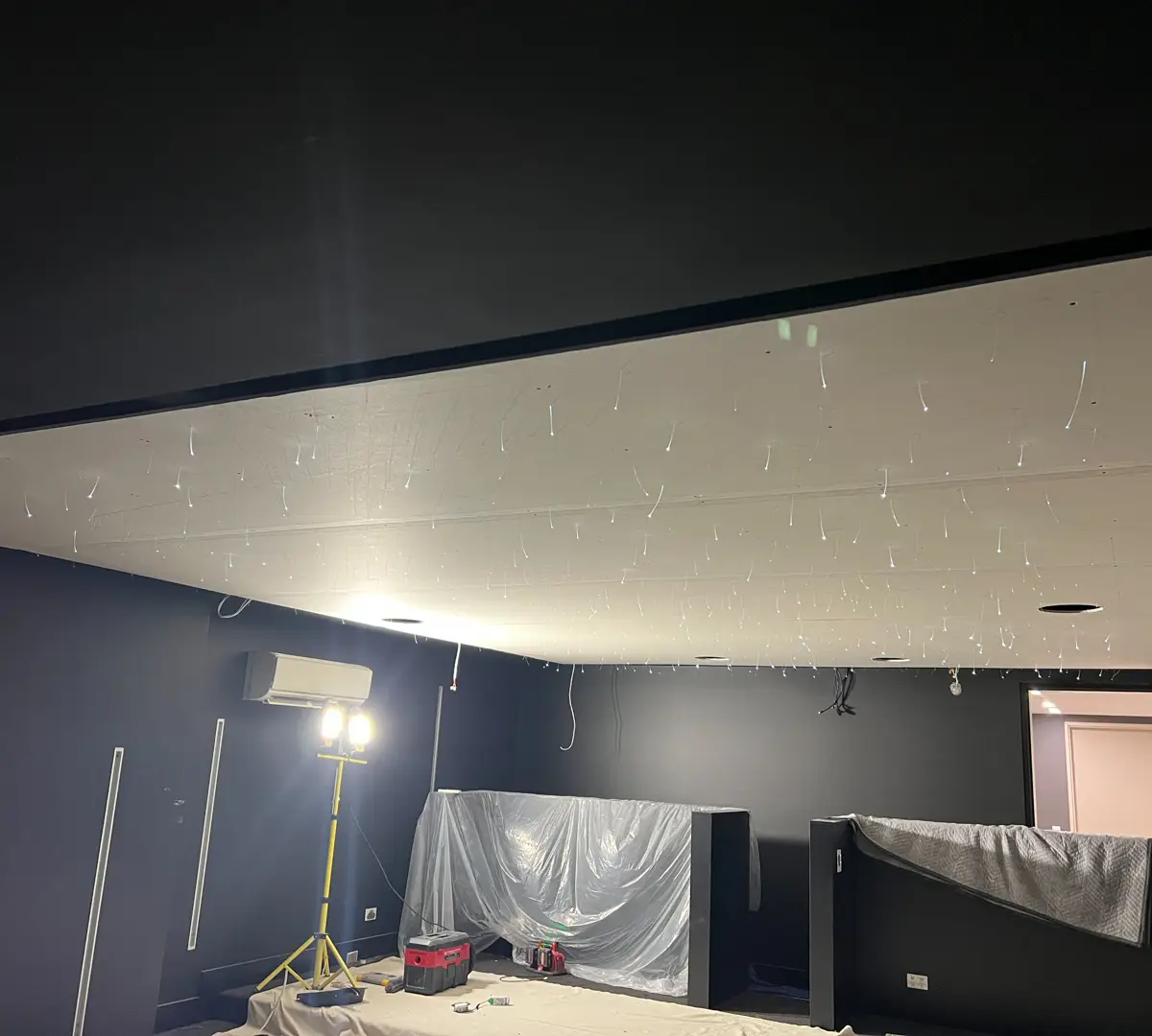 Project Luxury Smart Home Theatre with Shooting Starlight Ceiling and Tiered Seating BLUTEK0019